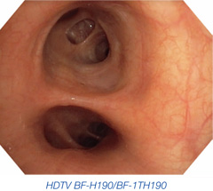 HDTV BF-H190/BF-1TH190